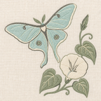 Tiny Field Guide Luna Moth and Moonflower Machine Embroidery Design, Instant Download embroidery close-up
